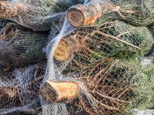 Load image into Gallery viewer, Christmas Tree