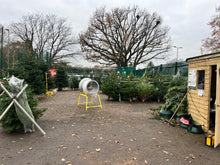 Load image into Gallery viewer, Christmas Tree