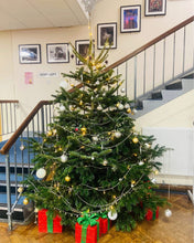 Load image into Gallery viewer, Langley Girls Secondary School Christmas Tree