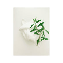Load image into Gallery viewer, Bamboo Face Cloth