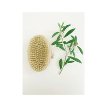 Load image into Gallery viewer, Vegan Dry Brush Gift Box